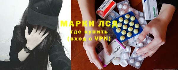 индика Магас