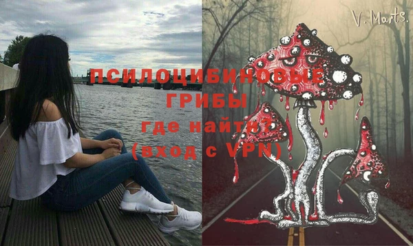 индика Магас