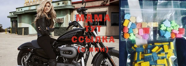 индика Магас