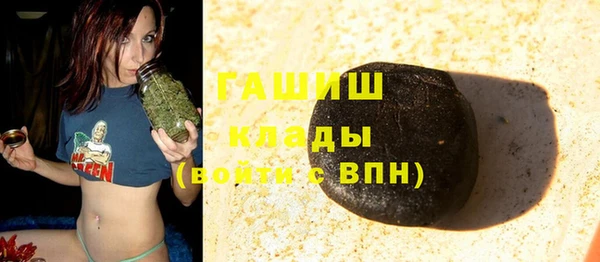 индика Магас