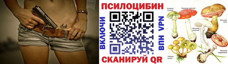 Купить  Камбарка  Псилоцибиновые грибы Magic Shrooms 